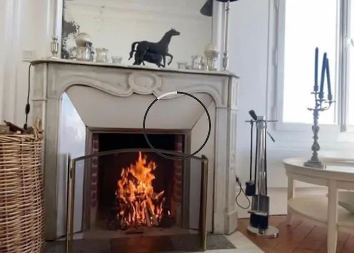 Apartment Magnifique Avec Cheminee Sur La